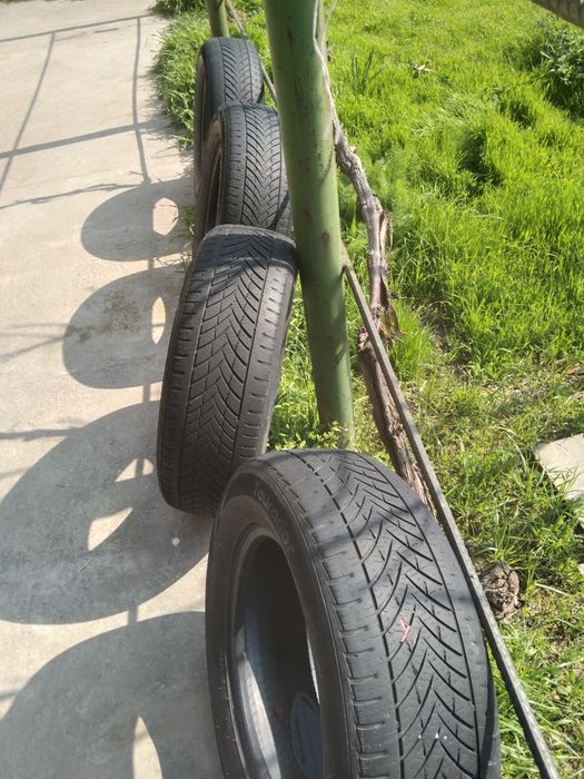 Koblt Balon 15 razmerli va 14 razmerligam bor  kelishtirib bervoramiza