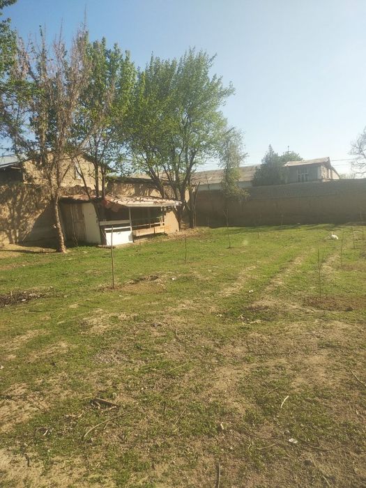 Тулабе, ок томда 13 сотих уй сотилади