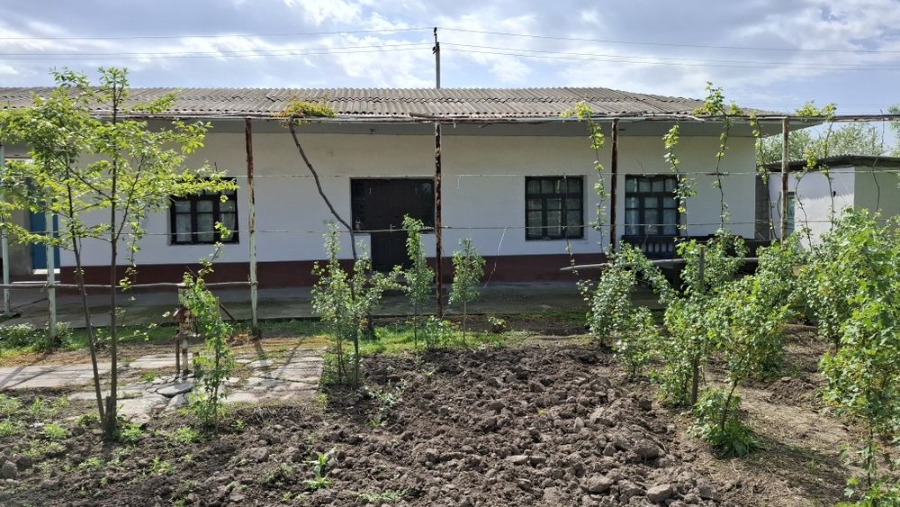 Orta chirchiq tumani  Darxon maxalasi 157uy