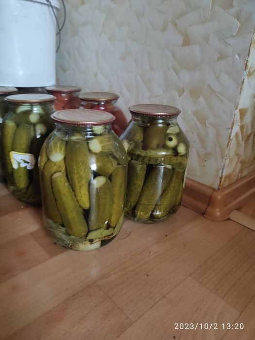 Домашние  помидоры  консервированные