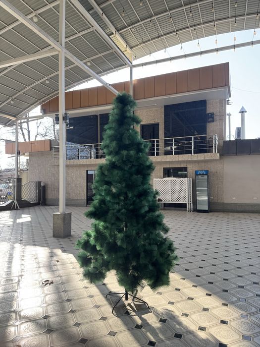 Archa/Ёлка 3metr