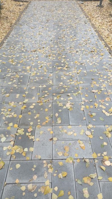 Брусчатка хай-тек