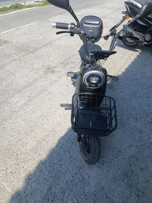 Scooter KIWIVAX sotiladi