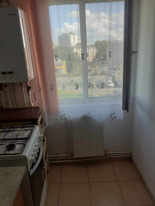 Primesc băieți in chirie (clasa a 9a)