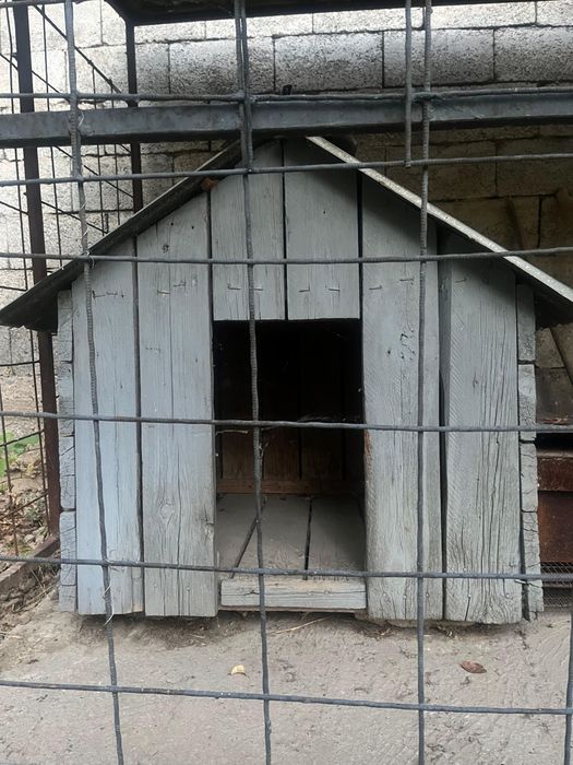 продам Собачью будку