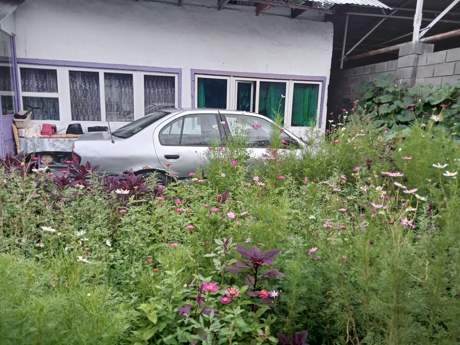 Ниссан Премьера продам