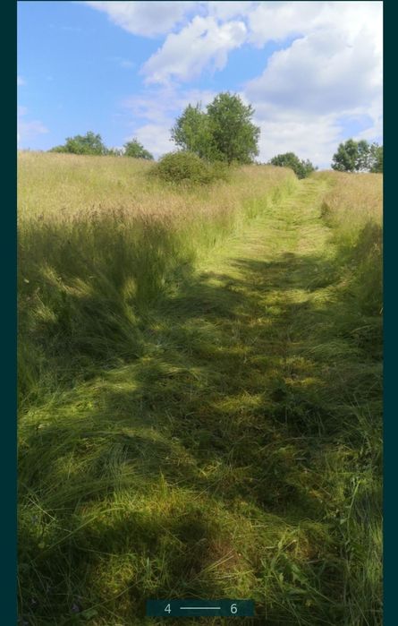 Cosesc ,tund iarba-gazon-buruieni,taieri pomi,etc