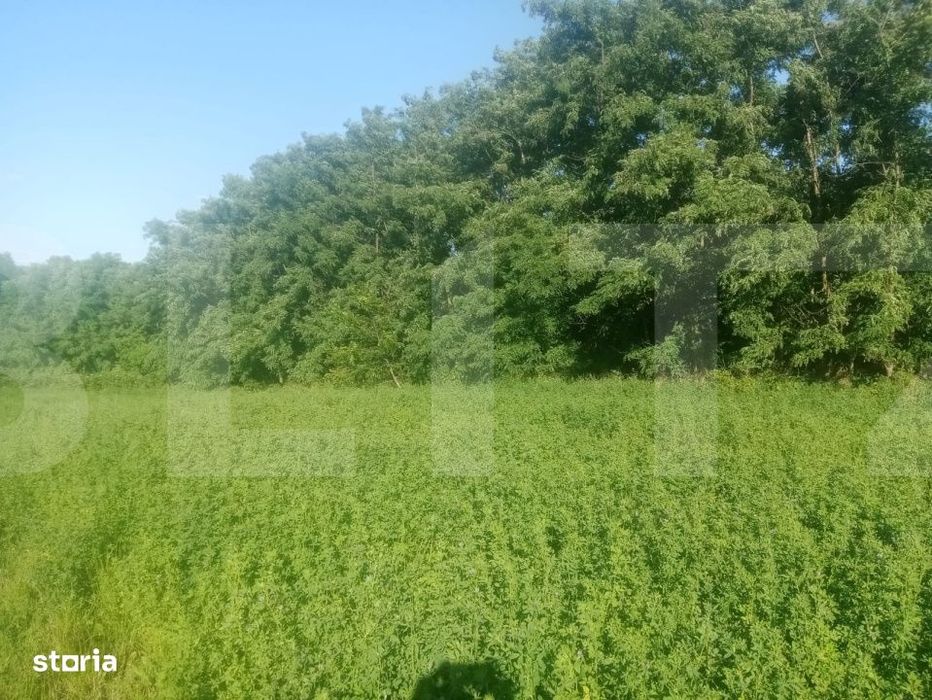 Braesti,jjud Botosani 3700 mp teren intravilan