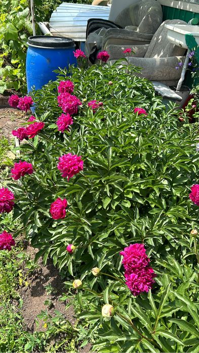 Продам Дачу на Уралочке