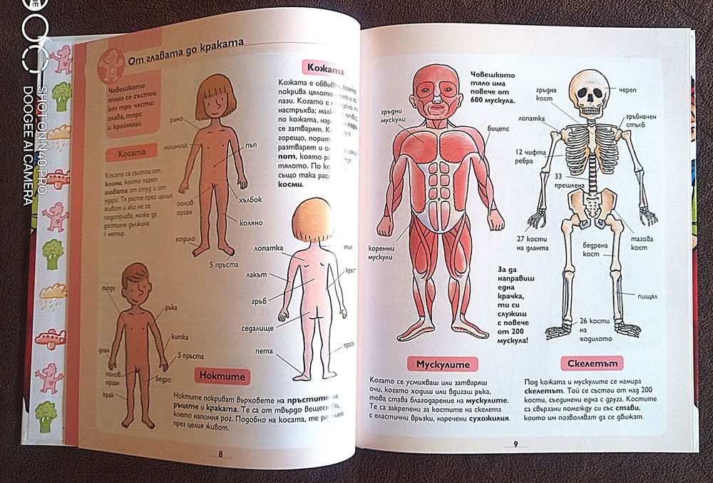 НОВИ детски енциклопедии-цени в описанието