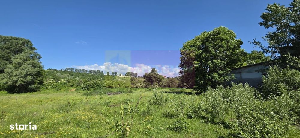 Teren intravila 40.679 mp in Campina, dezvoltare imobiliara
