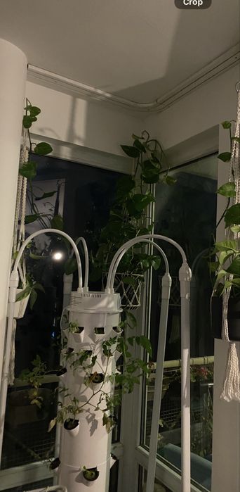 Хидропонна кула Tower Garden Juice Plus + LED осветление за отглеждане у дома