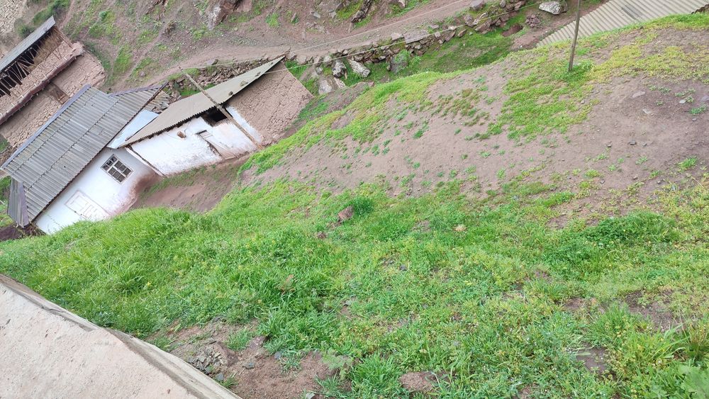 Telifon da malulod beriladi