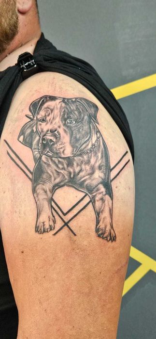 Tatuaje Cluj- Tattoo artist