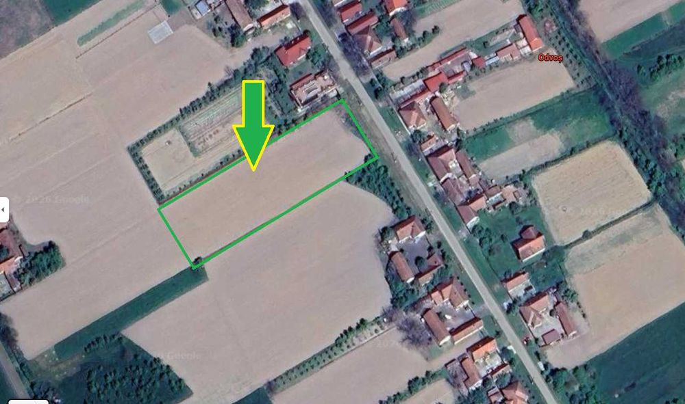 Teren intravilan, Odvos, Arad - 3000mp