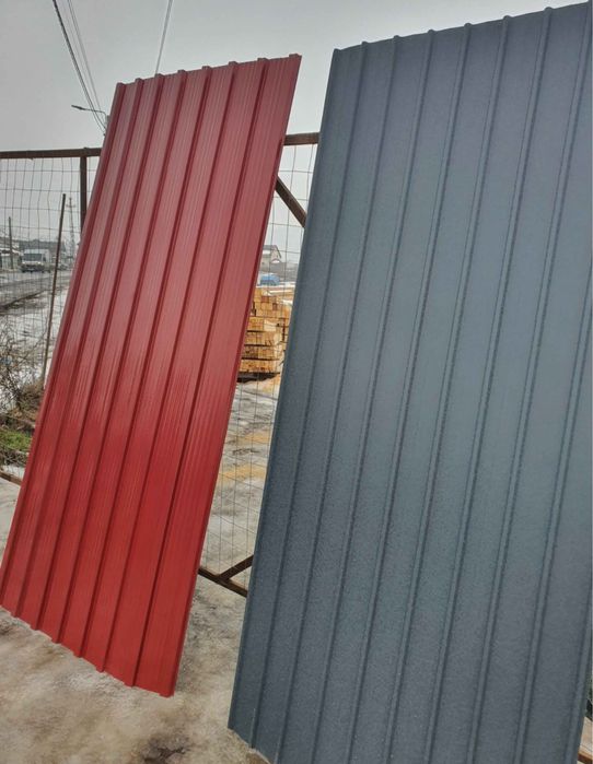 Tabla cutata colotata