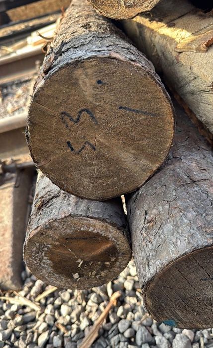 Продам деловой кругляг