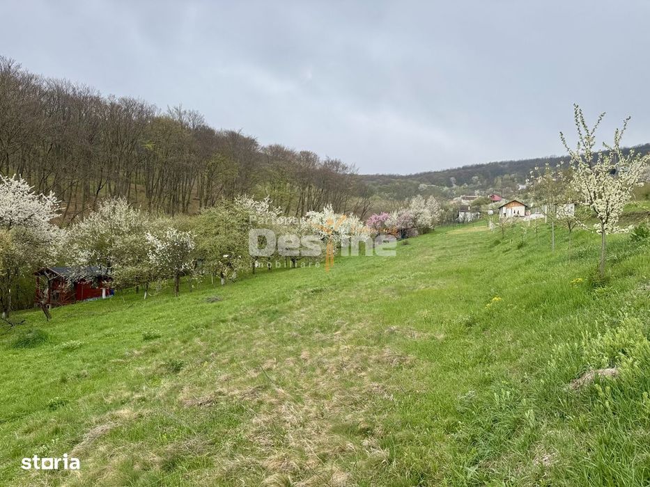 Teren intravilan Deva- Roci