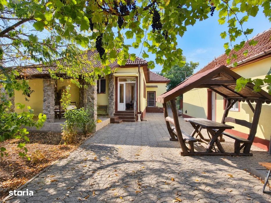Casă cu 3 camere de vânzare în Mândruloc –teren 1.500 mp