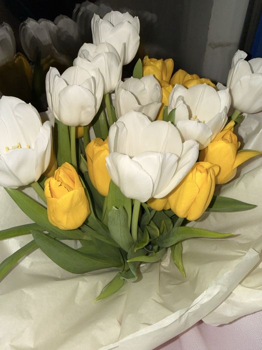 Свежие тюльпаны .