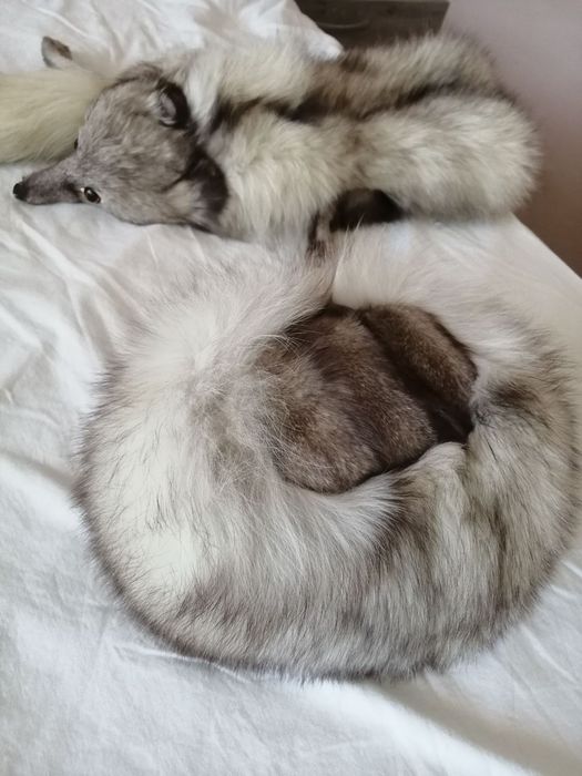 Шал и шапка от сребърна лисица