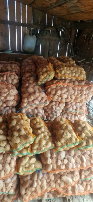 Cartofi consum alb și rosu