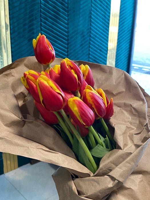 Тараз цветы Голландские тюльпаны