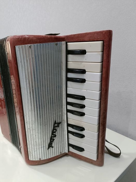 Аккордеон Малыш рабочий