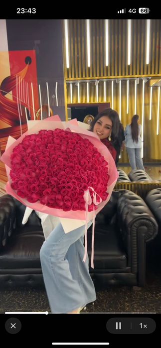 Цветы роза шикарный