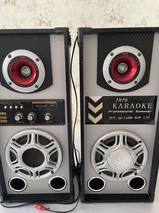 Усилитель колонки парные с караоке