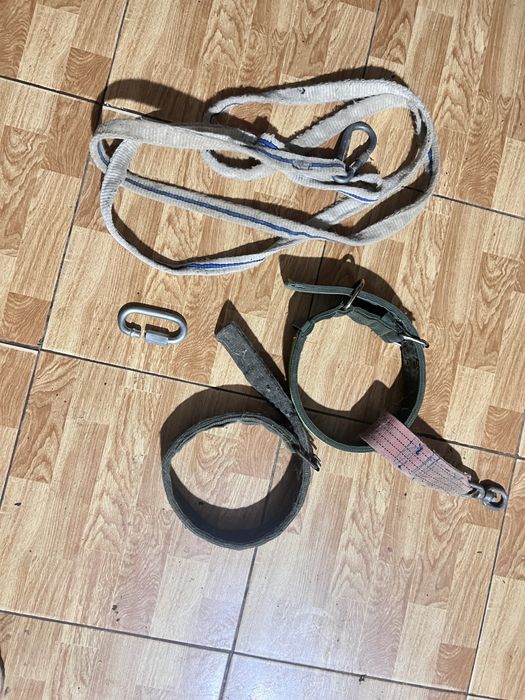 Ошейник для собаки паводок