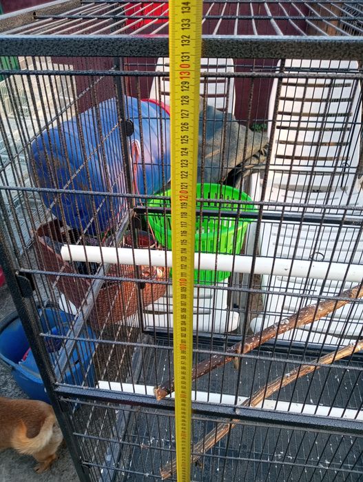 Colivie voliera cușcă papagali