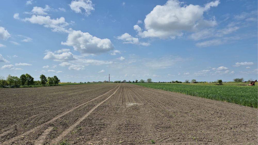 DE NERATAT! Vând teren agricol 30000mp direct de la proprietar