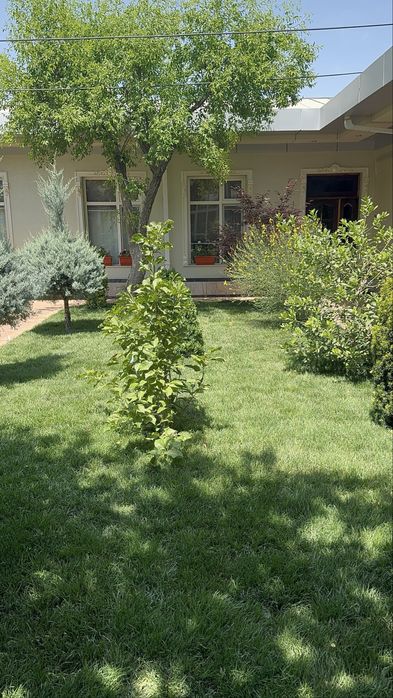 Газон готовый установка+доставка