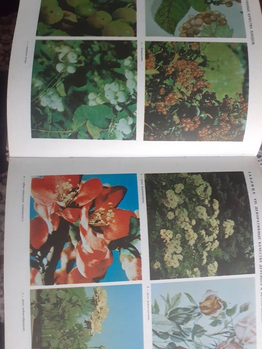 Продаётся 3 книги