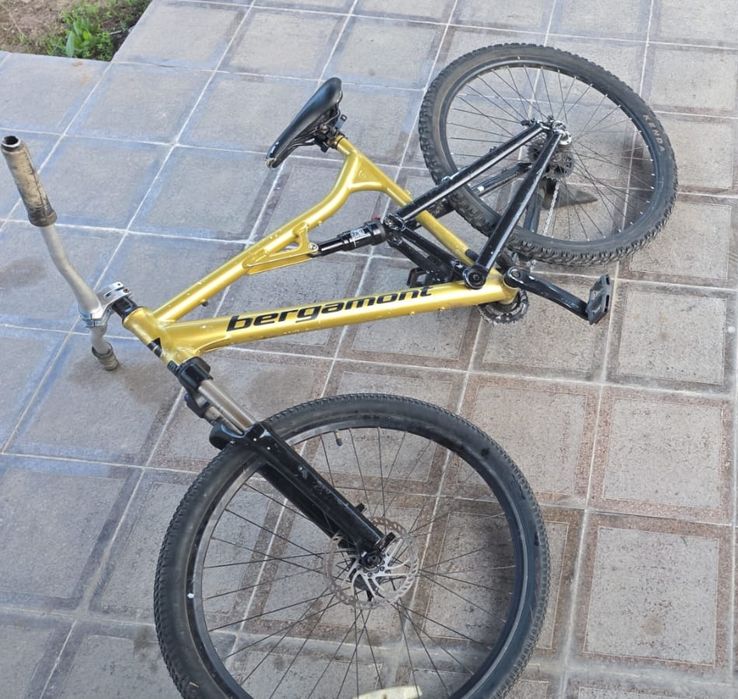 Bergamont Evolve 5.8