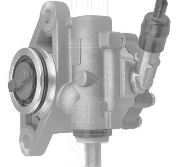 Pompă servodirectie Iveco Daily Fiat Ducato 3.0 D Pompă  Servo Nouă