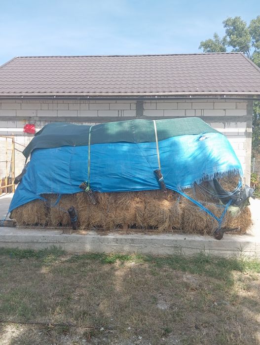 Vând baloți, iarbă semanată