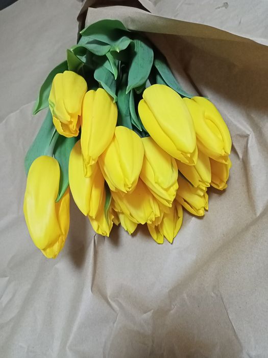 Тюльпаны к празднику