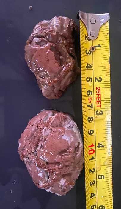 2 piese geoda agat Thunderegg Oregon
