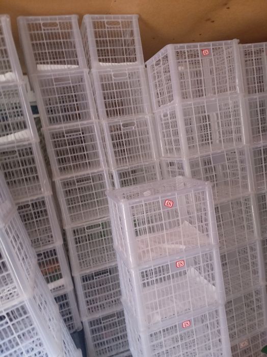 Продам ящики 100 150 штук есть