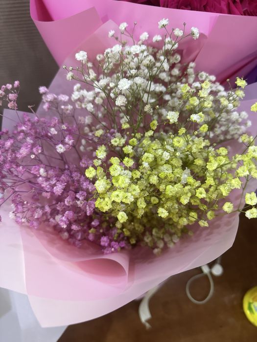 Гул свежий бугынгы