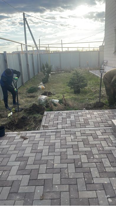 Саженцы Газон Автополив