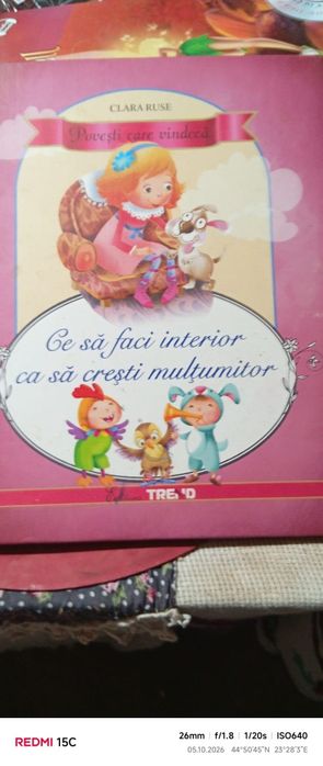 Ce sa faci interior ca sa r esti multumitor