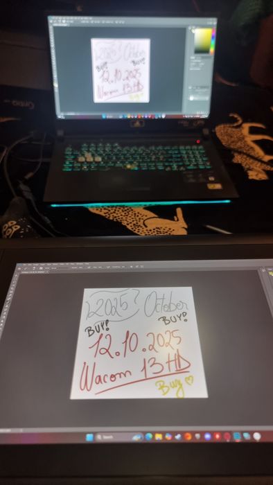 Tabletă digitală - Wacom Cintiq 13HD interactive pen