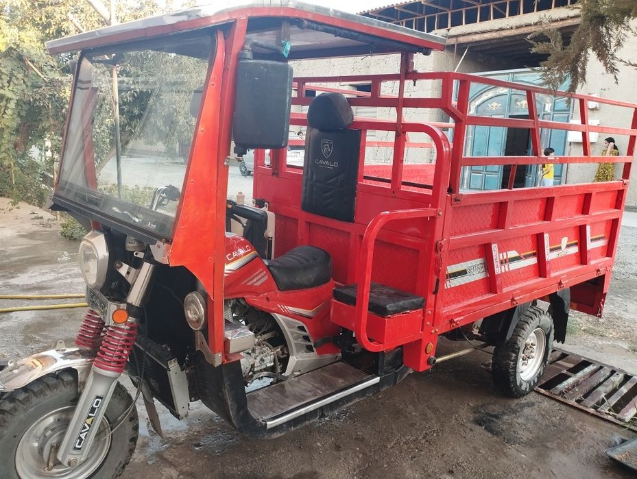Cavalo matatsikil