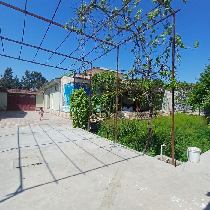 Котеж солтилади 6 сотих