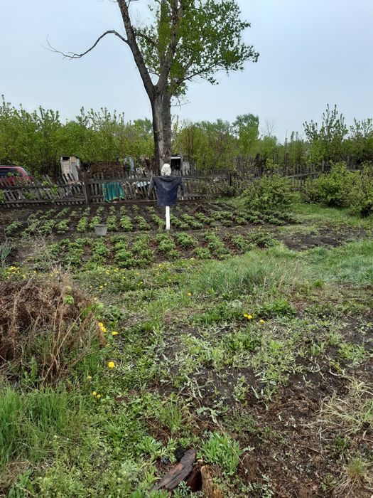 Продаю дом майкудук