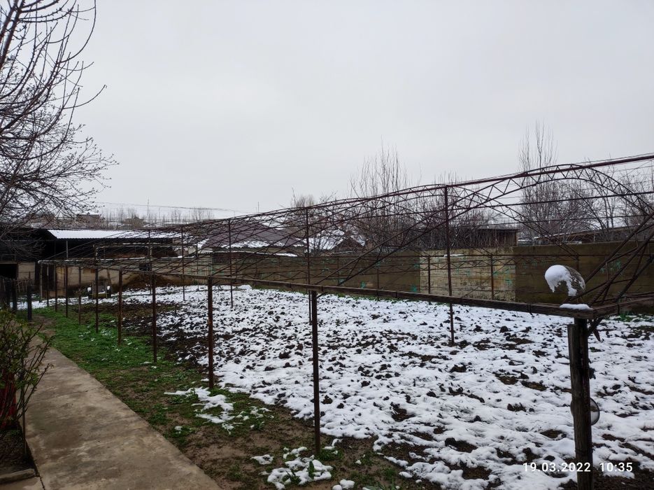 Теплица(жылыжай)