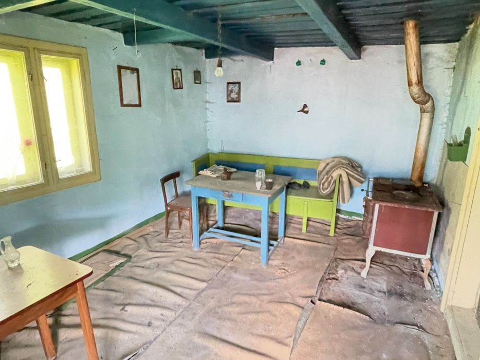 Vând casa veche la țară.